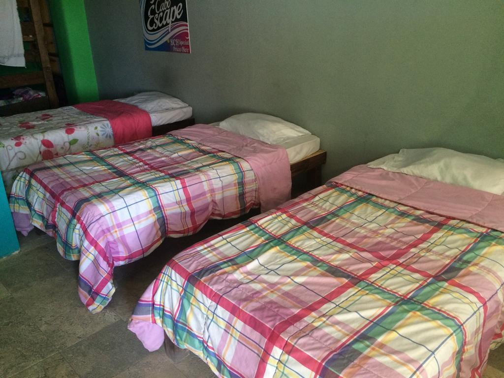 Bajas Cactus Hostel Cabo San Lucas Szoba fotó