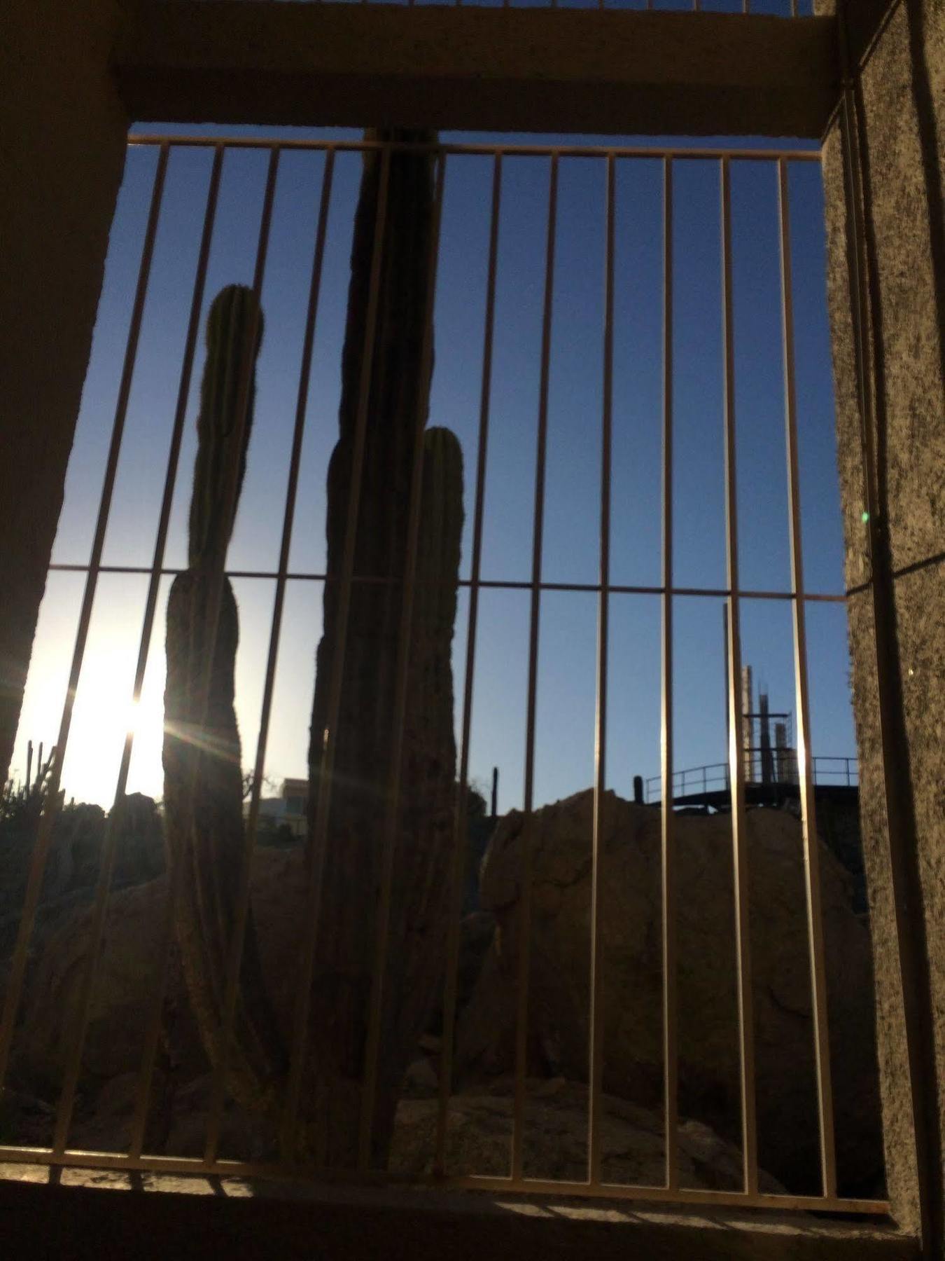 Bajas Cactus Hostel Cabo San Lucas Kültér fotó