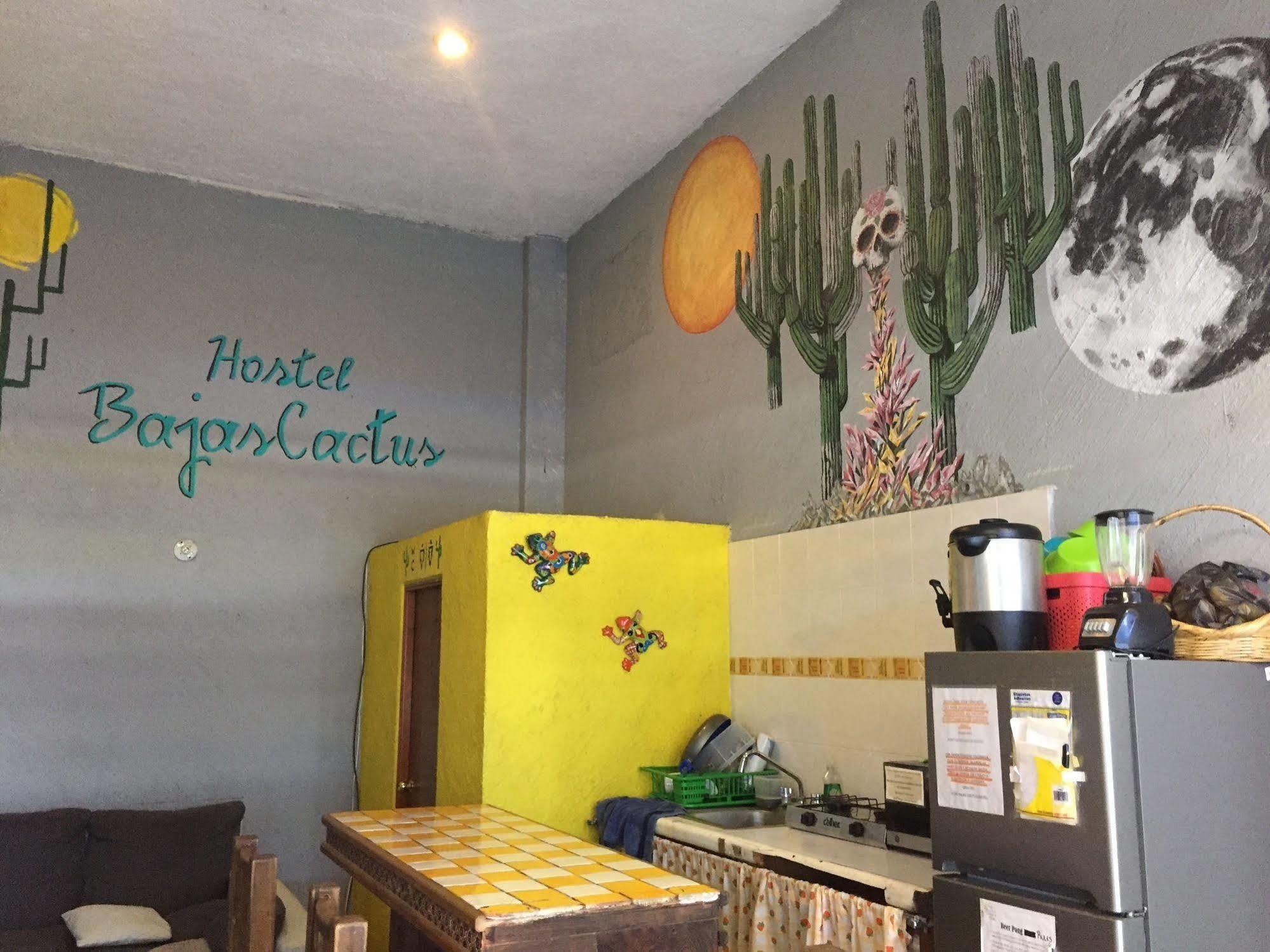 Bajas Cactus Hostel Cabo San Lucas Kültér fotó