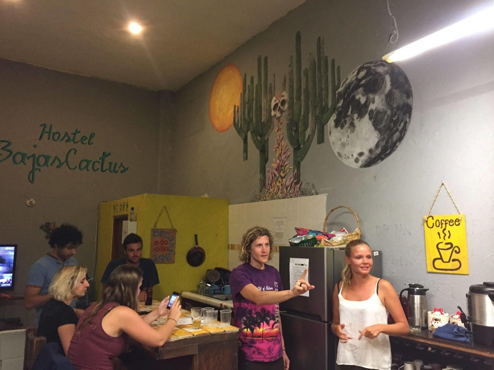 Bajas Cactus Hostel Cabo San Lucas Kültér fotó