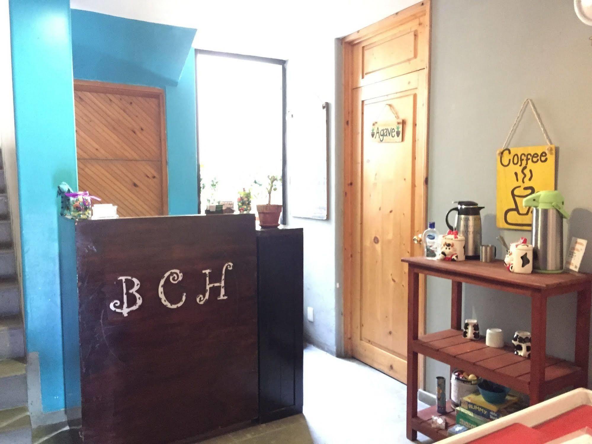 Bajas Cactus Hostel Cabo San Lucas Kültér fotó
