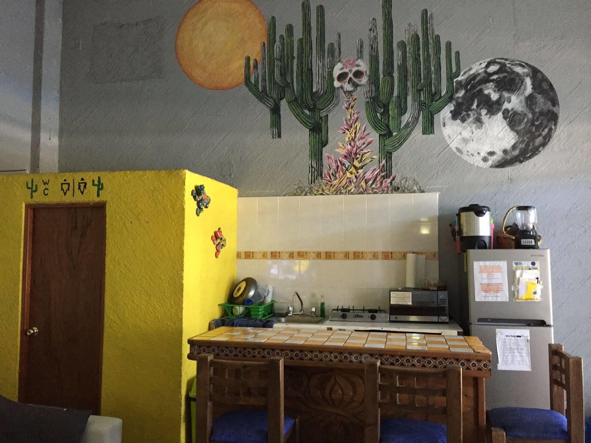 Bajas Cactus Hostel Cabo San Lucas Kültér fotó