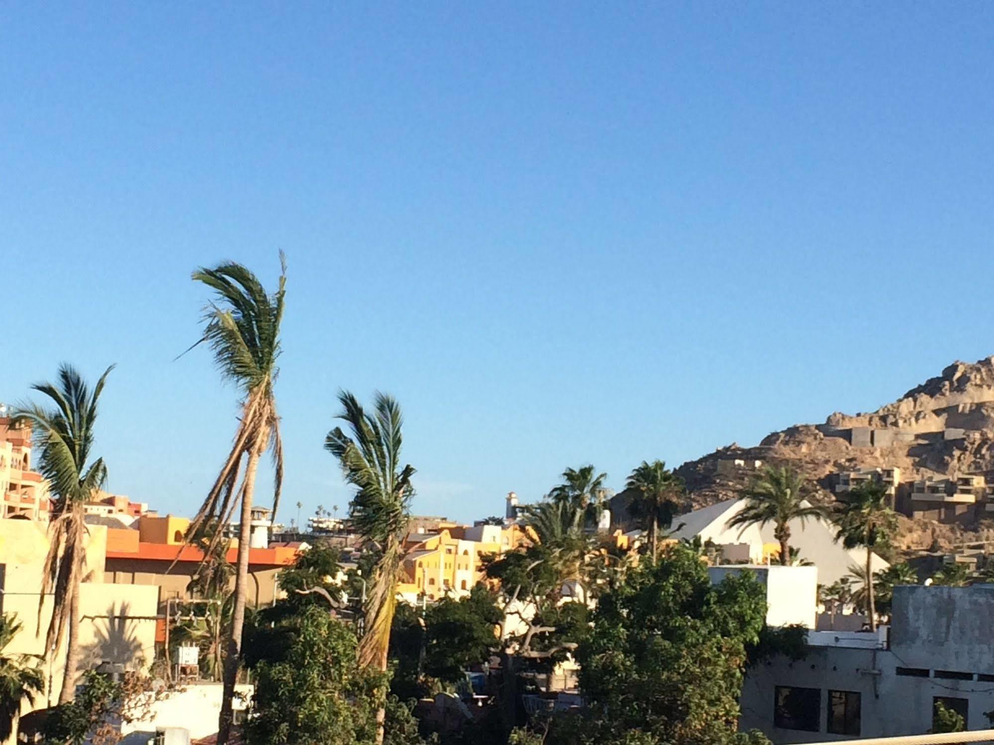 Bajas Cactus Hostel Cabo San Lucas Kültér fotó