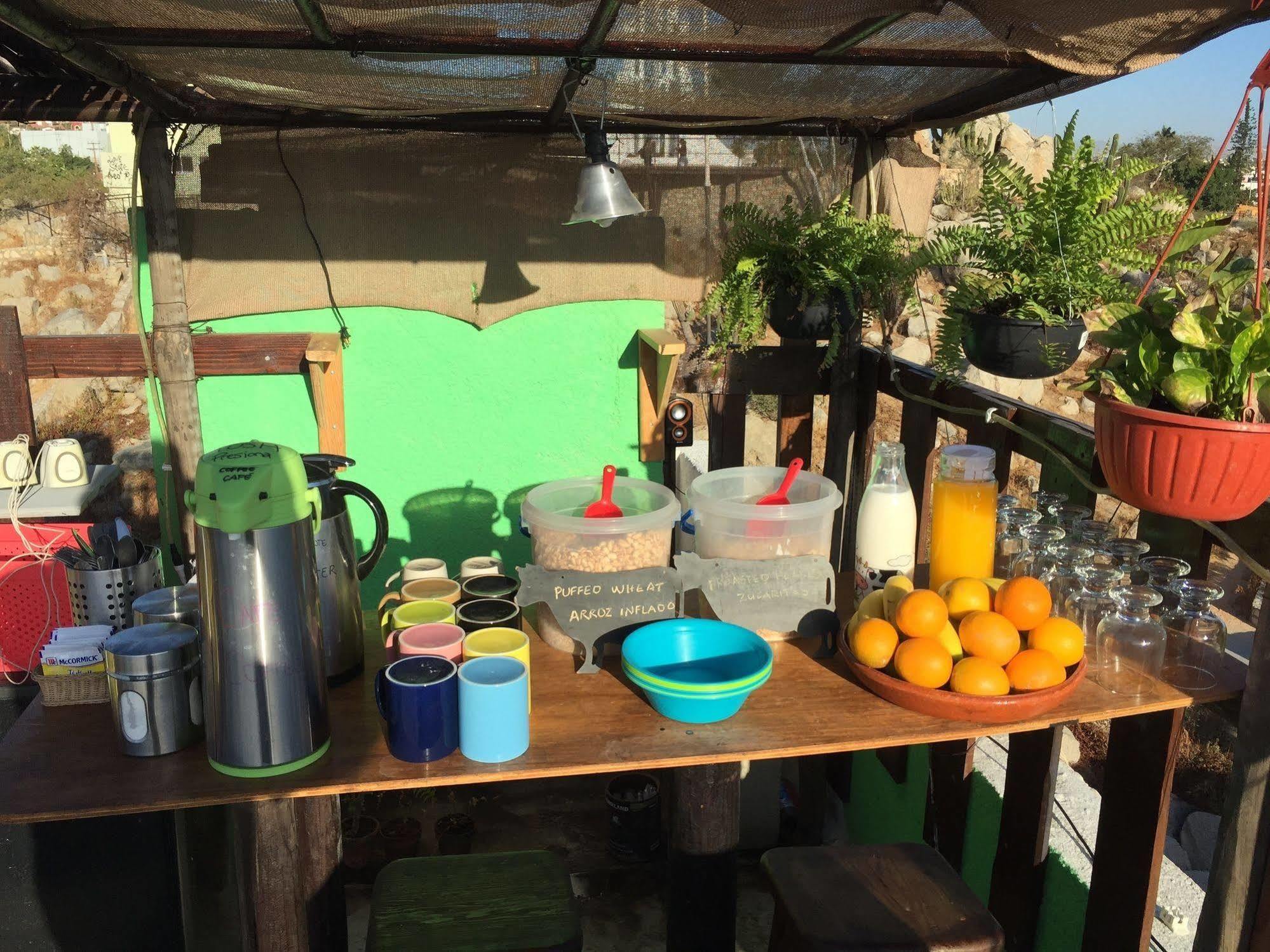 Bajas Cactus Hostel Cabo San Lucas Kültér fotó