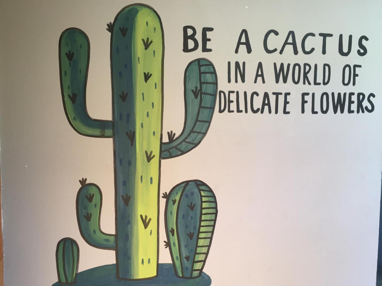Bajas Cactus Hostel Cabo San Lucas Kültér fotó