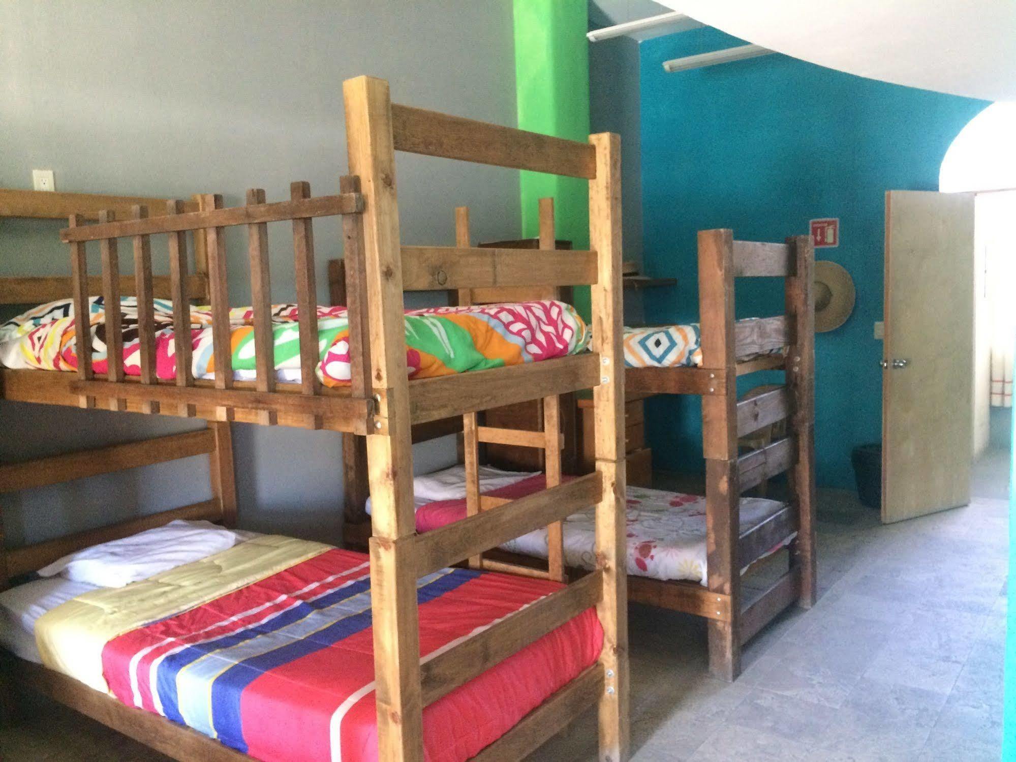 Bajas Cactus Hostel Cabo San Lucas Kültér fotó