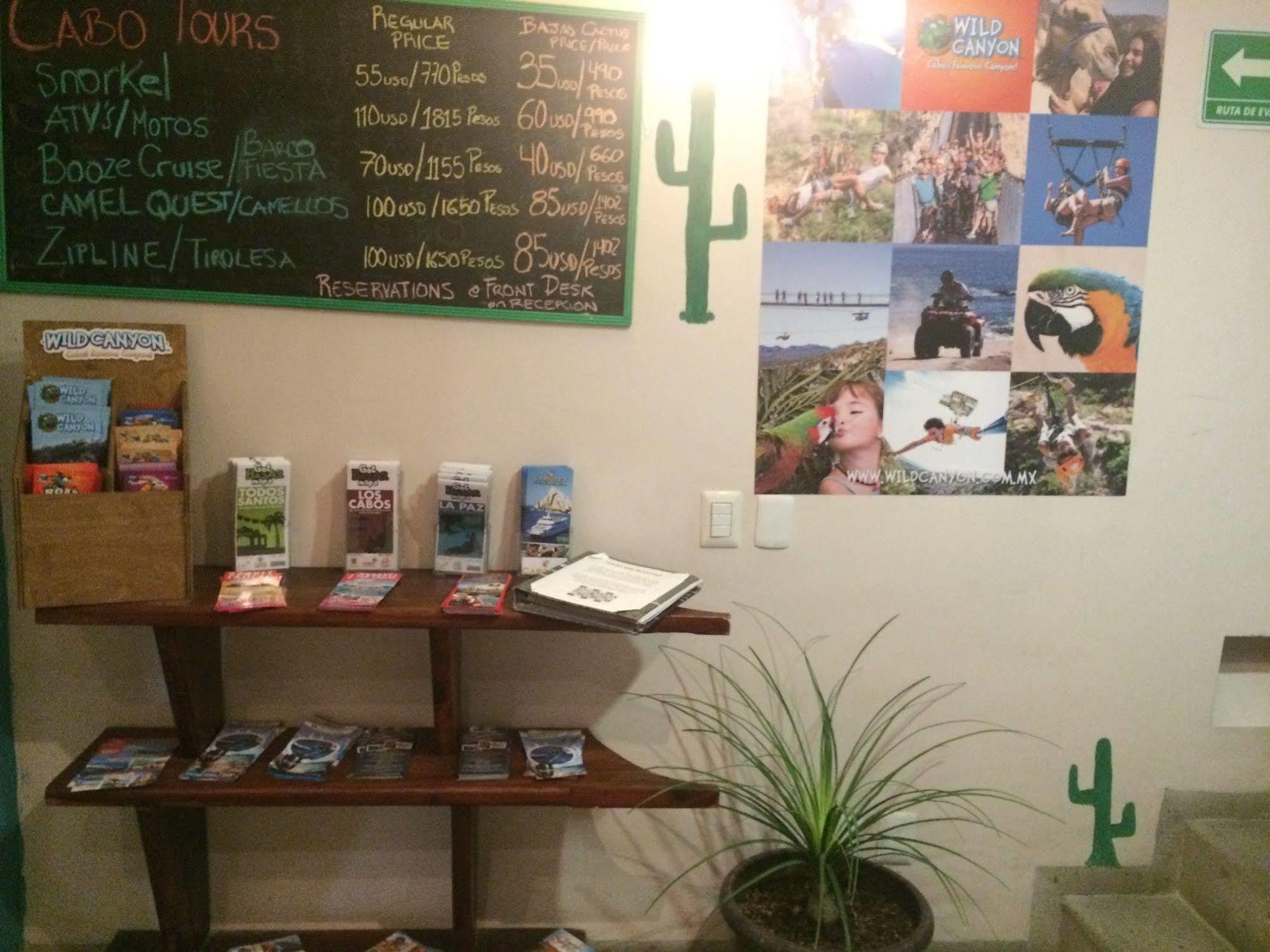Bajas Cactus Hostel Cabo San Lucas Kültér fotó