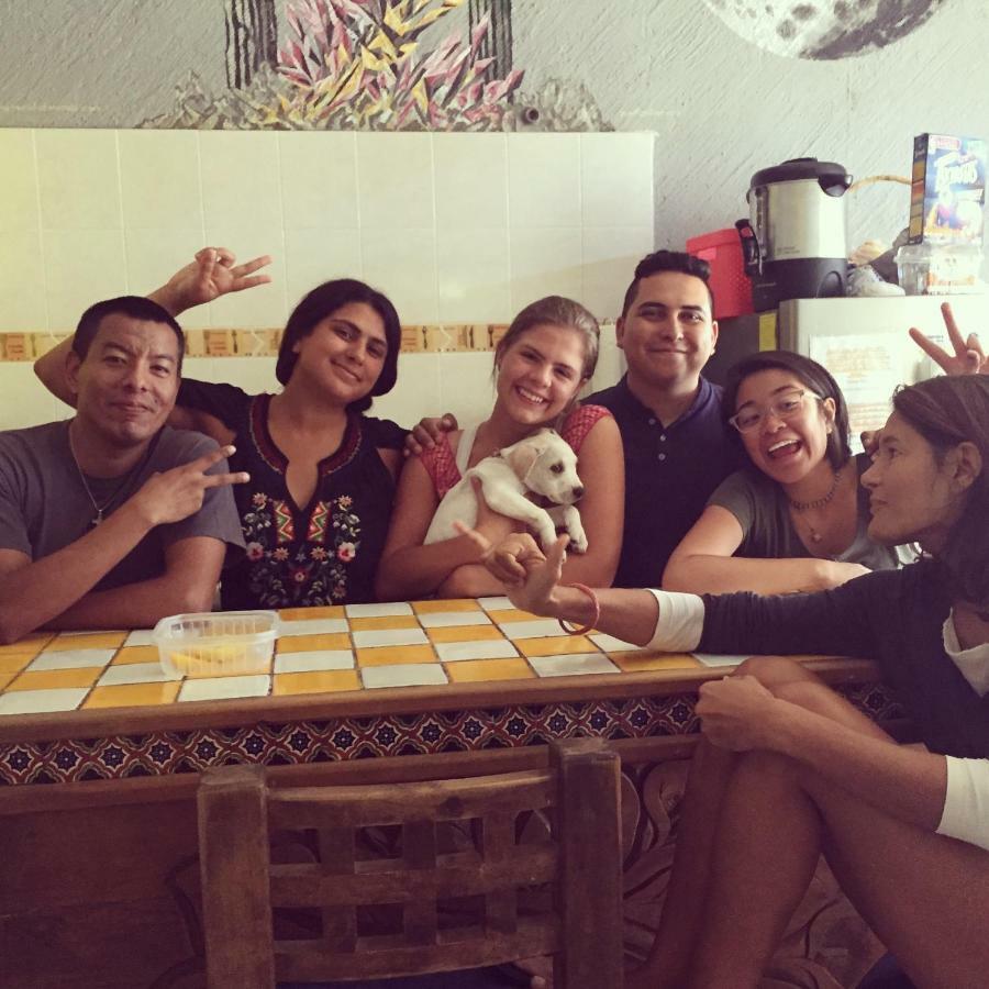 Bajas Cactus Hostel Cabo San Lucas Kültér fotó