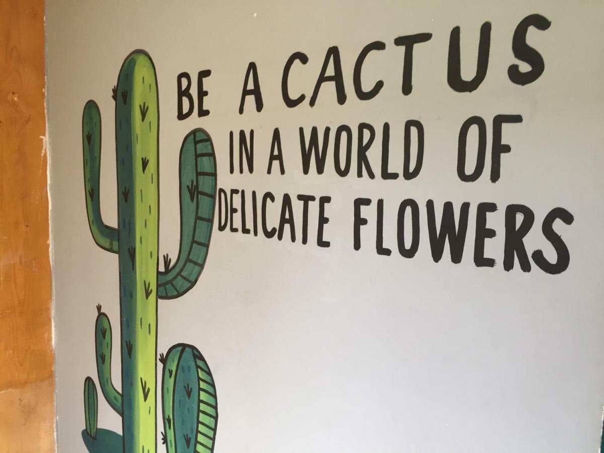 Bajas Cactus Hostel Cabo San Lucas Kültér fotó
